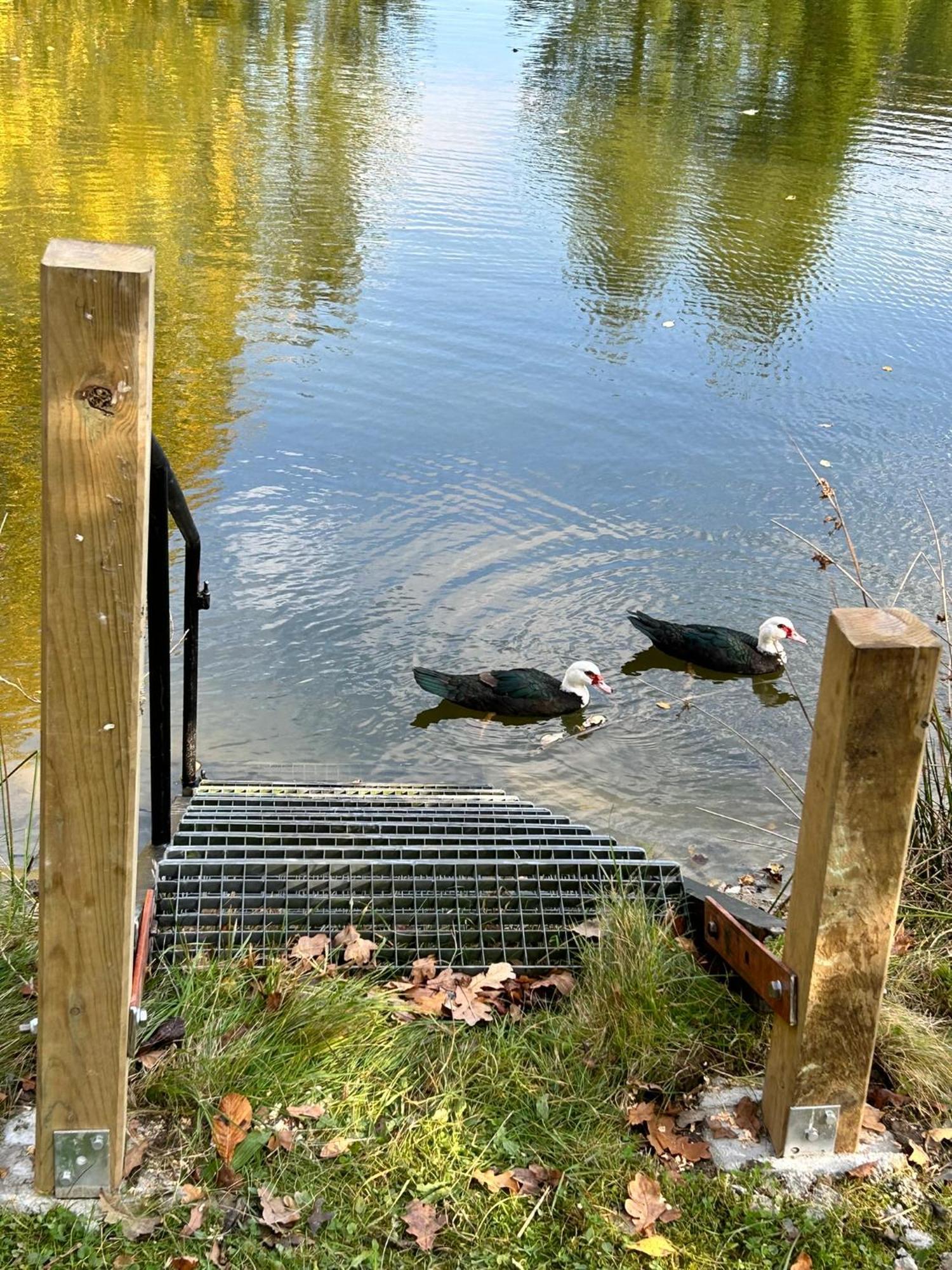 Farm Stay Happy Dogs Ranch Veberöd Екстериор снимка