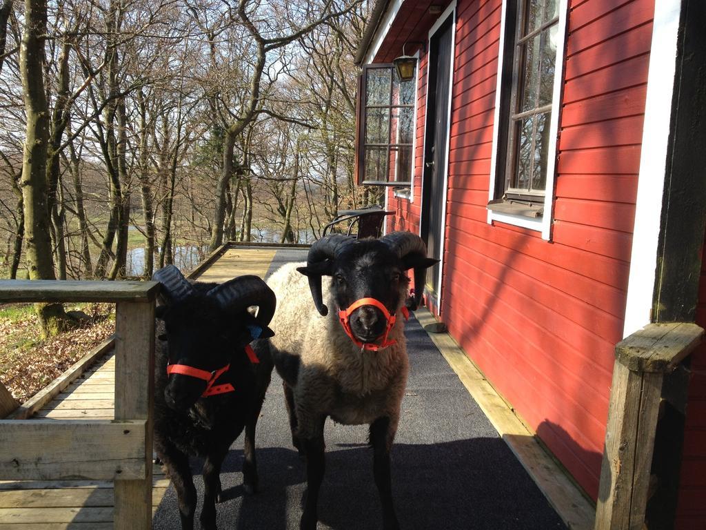 Farm Stay Happy Dogs Ranch Veberöd Екстериор снимка