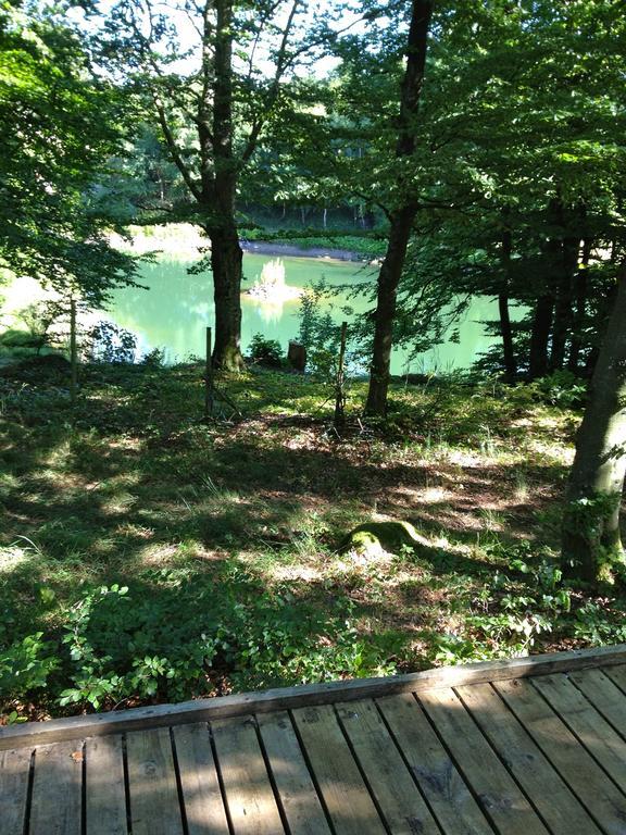 Farm Stay Happy Dogs Ranch Veberöd Екстериор снимка
