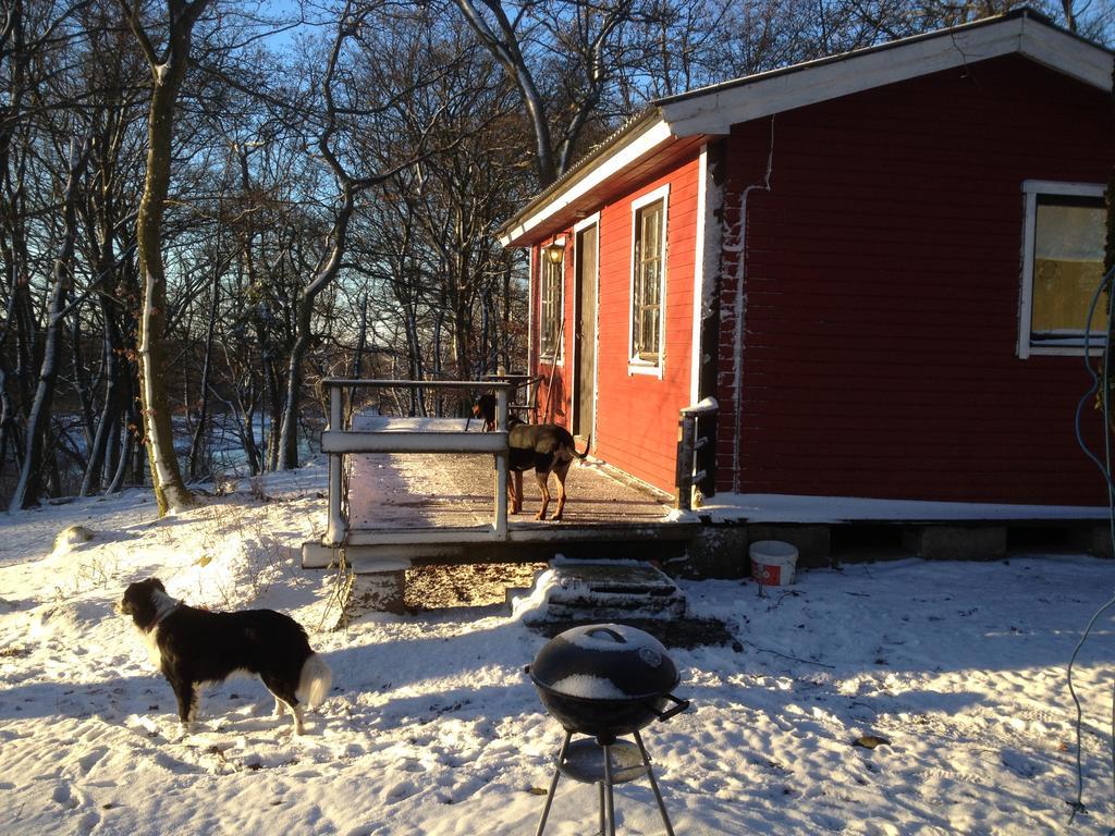 Farm Stay Happy Dogs Ranch Veberöd Екстериор снимка